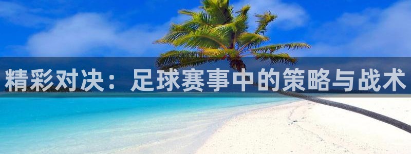 精彩对决：足球赛事中的策略与战术