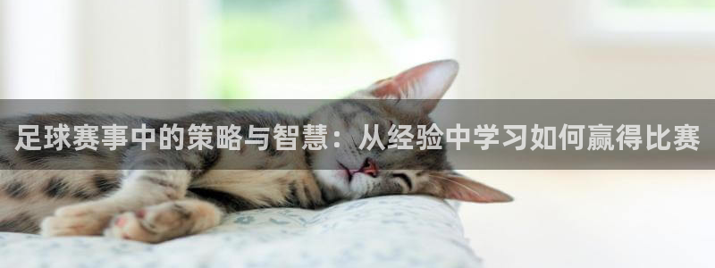 壹号平台如何退款