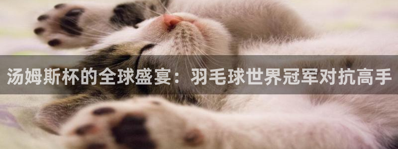 壹号pg娱乐
