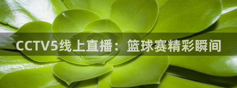 壹号平台官网
