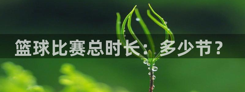 壹号平台会跑路吗