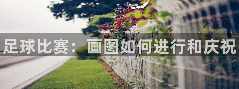1壹号娱乐：足球比赛：画图如何进行和庆祝