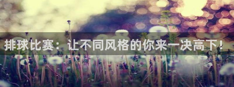 壹号平台网页版：排球比赛：让不同风格的你来一决高下！