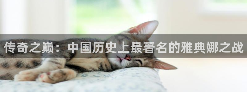 壹号娱乐提款10天了还没到账怎么回事