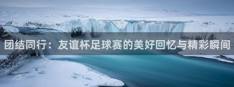 壹号平台下载安装官方认证平台：团结同行：友谊杯足球赛的美好回
