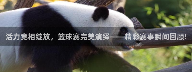 壹号平台下载安装